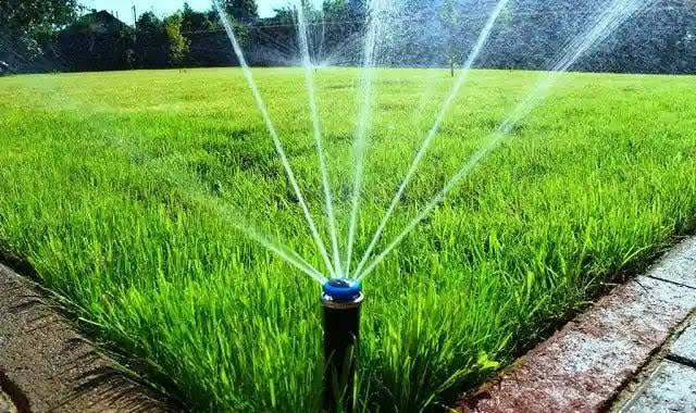 01312025210021679d39e5df0ae