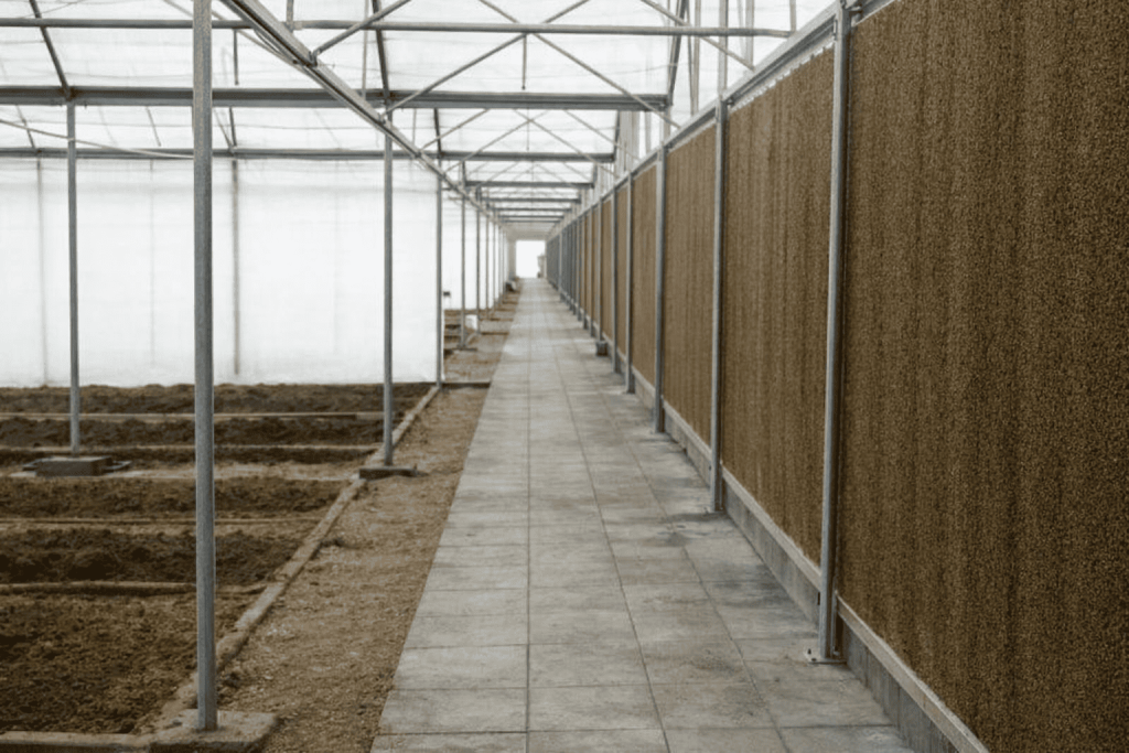 chatgpt image dec 23, 2025, 08 39 10 pm (1)