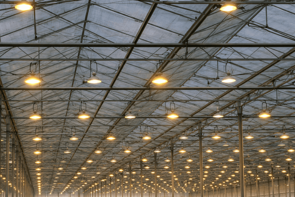 chatgpt image dec 23, 2025, 09 02 57 pm (1)