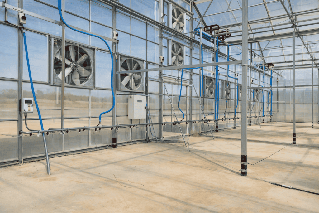 chatgpt image dec 25, 2025, 06 22 45 pm (1) (1) (1)