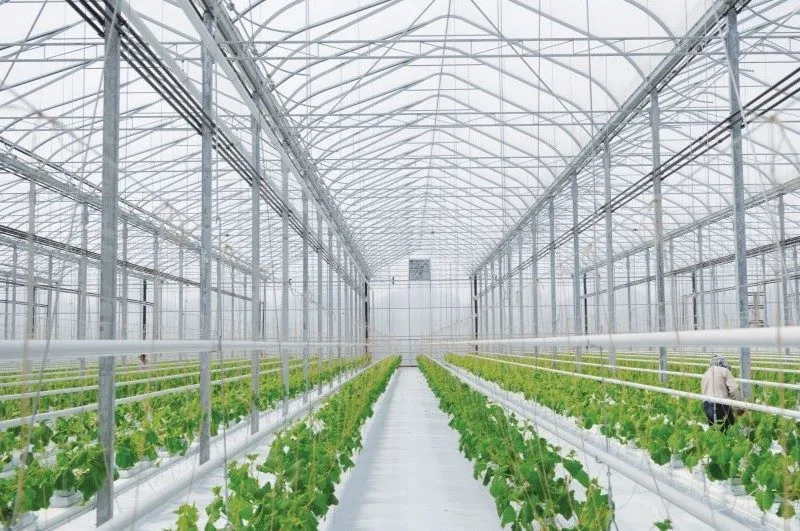 أنواع البيوت المحمية