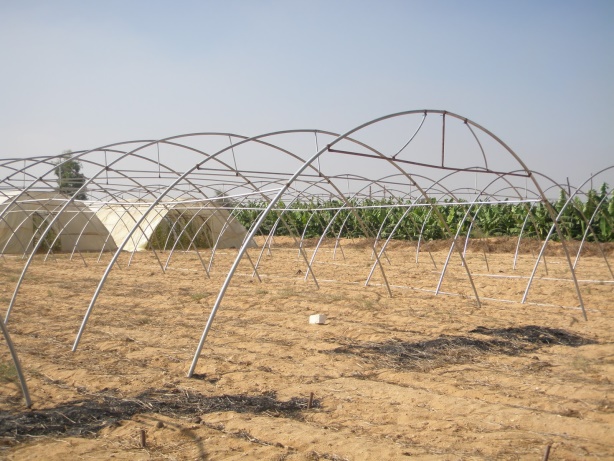 البيت المحمي