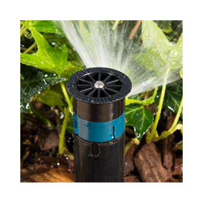 النوزلات الشريطية النوزلات الشريطية