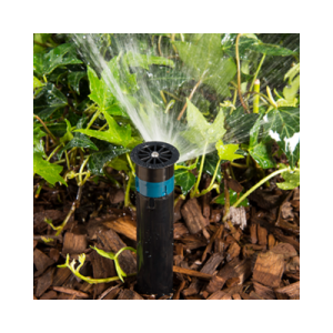 النوزلات الشريطية