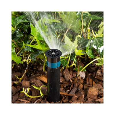 النوزلات الشريطية النوزلات الشريطية