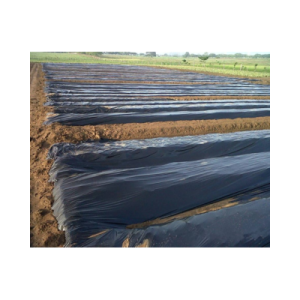 ملش أسود طول 500 متر عرض 90 سم 35 مايكرون