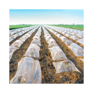 بلاستيك أنفاق طول 100 متر عرض 2.5 متر سماكة 70 مايكرون