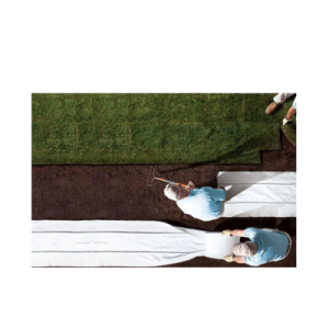 eco mat™ and pld esd