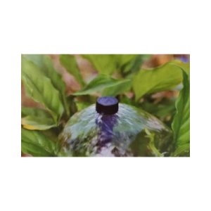 ببلر غرس رين بيرد 100 حبة