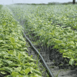 لي مطري 200 متر 32 مللي